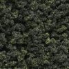 Woodland Scenics WFC139 Under Brush - Medium Green