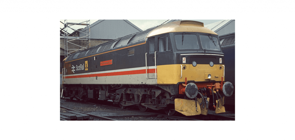 Colletts Models