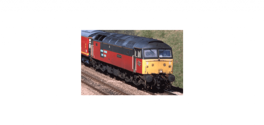 Colletts Models