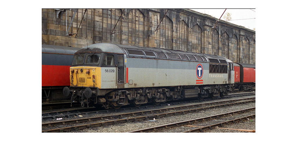 Colletts Models