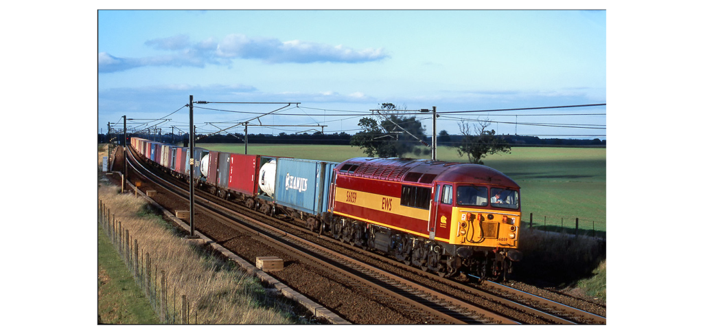 Colletts Models