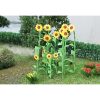 Tasma Products 00676 Sunflowers Pack of 16 (OO Gauge)