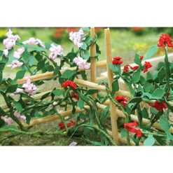 Tasma Products 00678 Climbing Roses Pack of 6 (OO Gauge)