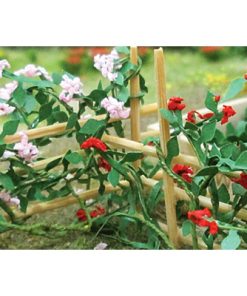 Tasma Products 00678 Climbing Roses Pack of 6 (OO Gauge)