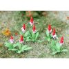 Tasma Products 00679 Primroses Pack of 32 (OO Gauge)