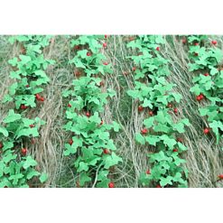Tasma Products 00685 Strawberries (18) Per Pack (OO Gauge)