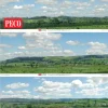 Peco SK-P05 Water Meadow Photographic Backscene (Multiple Gauges)