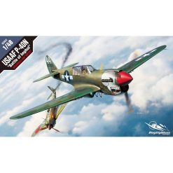 Academy 12341 USAAF P-40N Battle of Imphal Fighter Aircraft (1:48 Scale)