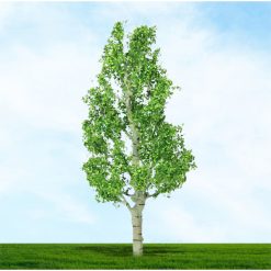 Tasma Products 003934 Birch Trees 38mm/50mm (4) Per Pack (N Gauge)