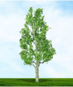 Tasma Products 003934 Birch Trees 38mm/50mm (4) Per Pack (N Gauge)