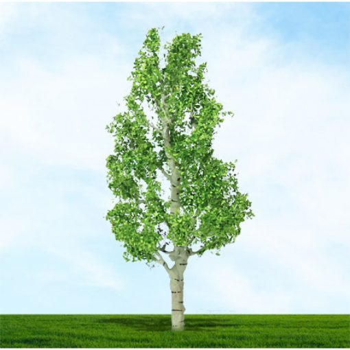 Tasma Products 003934 Birch Trees 38mm/50mm (4) Per Pack (N Gauge)