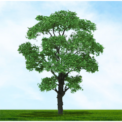 Tasma Products 003941 Chestnut Tree 75mm/100mm (2) Per Pack (OO Gauge)