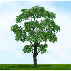 Tasma Products 003958 Chestnut Trees 38mm/50mm (4) Per Pack (N Gauge)