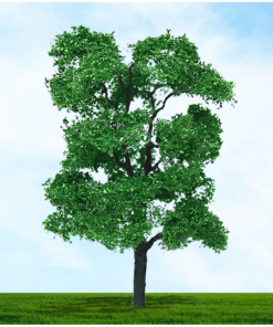 Tasma Products 003965 Ash tree 75mm/100mm (2) Per Pack ( OO Gauge)