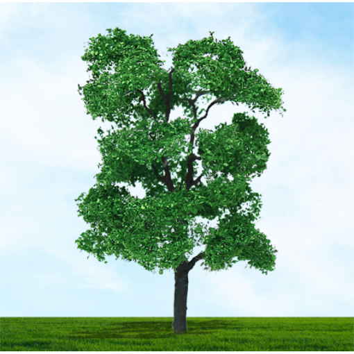 Tasma Products 003965 Ash tree 75mm/100mm (2) Per Pack ( OO Gauge)