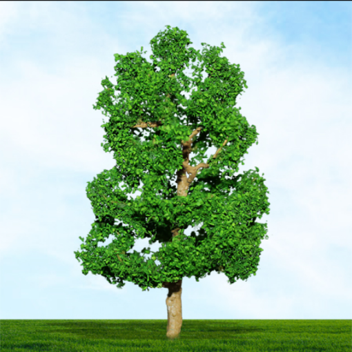 Tasma Products 004016 Sycamore Tree 75mm/100mm (2) Per Pack (OO Gauge)