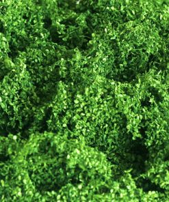 Tasma Products 00890 Light Green (OO Gauge)