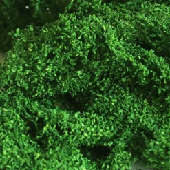 Tasma Products 00891 Medium Green (OO Gauge)
