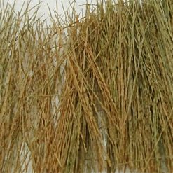 Tasma Products 00895 Natural Brown Field Grass 15g (OO Gauge)