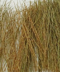 Tasma Products 00895 Natural Brown Field Grass 15g (OO Gauge)