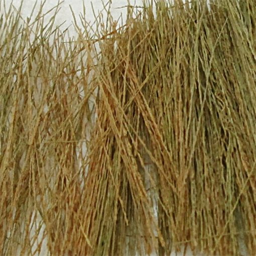Tasma Products 00895 Natural Brown Field Grass 15g (OO Gauge)