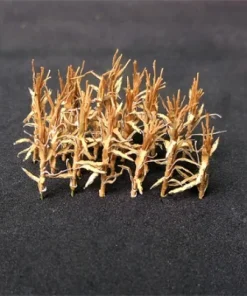 Tasma Products 00927 Dried Corn Stalks (24) Per Pack (N Gauge)