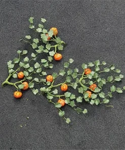 Tasma Products 00991 Pumpkins (5) Per Pack (N Gauge)