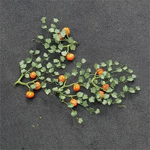 Tasma Products 00991 Pumpkins (5) Per Pack (N Gauge)