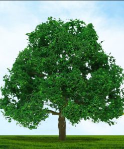 Tasma Products 004030 Oak Trees 38mm/50mm (3) Per Pack (N Gauge)