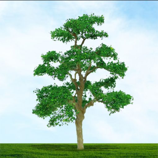 Tasma Products 004054 Elm Trees 38mm/50mm (3) Per Pack (N Gauge)