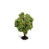 Gaugemaster GM1840 Premium Apple Tree (OO Gauge)