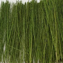 Tasma Products 00893 Light Green Field Grass 15g (OO Gauge)