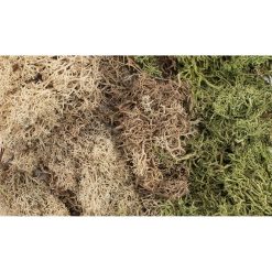 All Game Terrain WG6500 EZ Bushes Winter Mix (Multiple Gauges)
