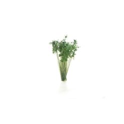 All Game Terrain WG6632 Dark Green Shrubs (Multiple Gauges)