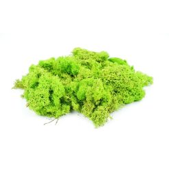 Gaugemaster GM1601 Light Green Lichen 80g (Multiple Gauges)