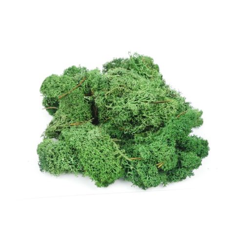 Gaugemaster GM1602 Dark Green Lichen 80g (Multiple Gauges)
