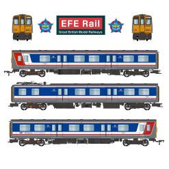EFE Rail E81003 Class 313 3-Car EMU 313018 BR Network SouthEast Dcc Ready Plux 22 Socket (OO Gauge) Free Postage